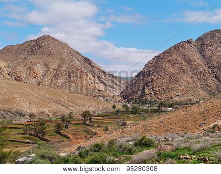 Agricultural landscape on Fuerteventura