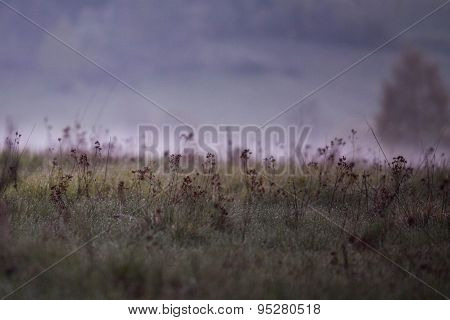 Phenomenon of nature - Stolowe ( Table ) Mountains - rock formations in National Park - Poland near