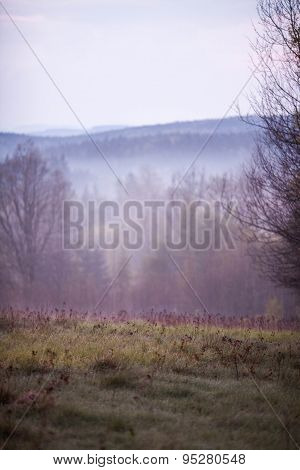 Phenomenon of nature - Stolowe ( Table ) Mountains - rock formations in National Park - Poland near