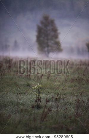 Phenomenon of nature - Stolowe ( Table ) Mountains - rock formations in National Park - Poland near