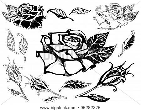 Set Of Vector Floral Design Elements
