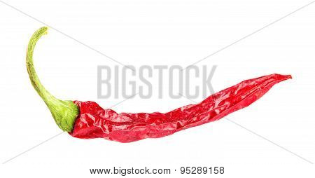 Red Hot Chili Pepper Isolated On A White Background