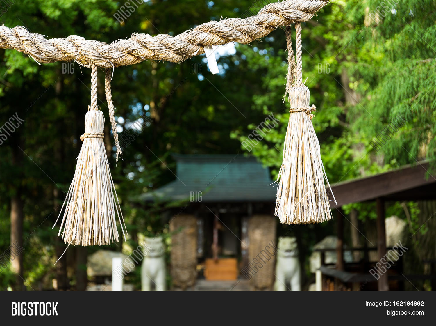 Rope Rice Straw Image & Photo (Free Trial) | Bigstock