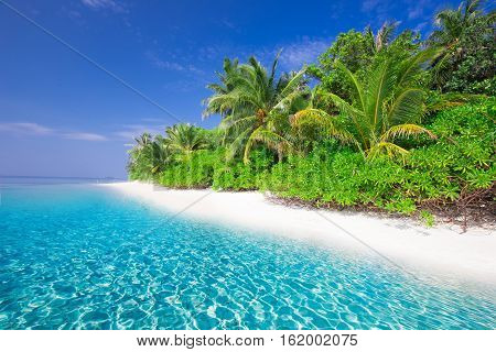 Tropical Island With Sandy Beach With Palm Trees And Turquoise Clear Water