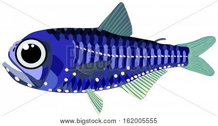 Latern Fish lives is ocean and under deep blue water life one of top sea predators