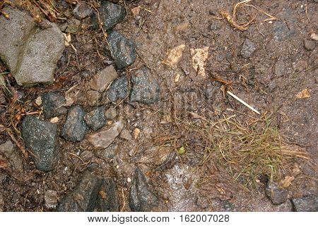 Stones, Withered Grass And Dirt
