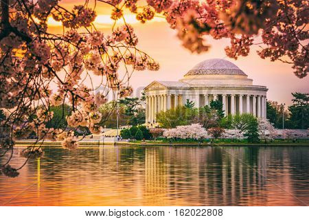 Washington, DC at the Jefferson Memorial during spring.