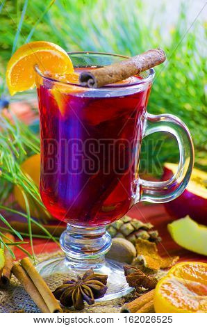 Spicy Christmas drink in a glass with spices on a background of trees