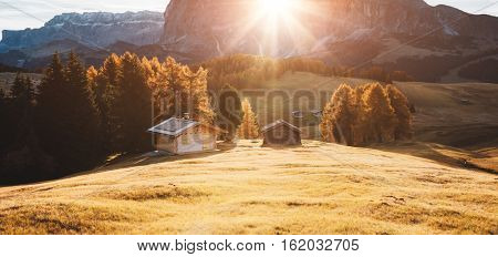 Lovely yellow field in sunlight. Unusual and gorgeous scene. Location place Dolomiti, Compaccio village, Seiser Alm or Alpe di Siusi, Province of Bolzano - South Tyrol, Italy, Europe. Beauty world.