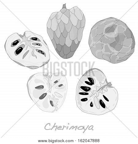 Custard apple or cherimoya image isolated on white background.