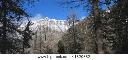 La haute montagne et la forêt, Les Orres, Alpes, France, Panorama