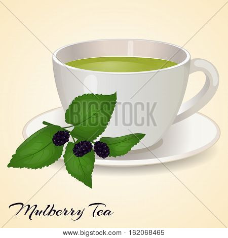 Cup of tea with Mullberry and leaves isolated on orange background. Mullberry Tea. Vector illustration. Healthy drinks.