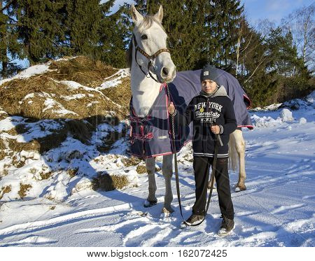 LATVIA, RIGA, DECEMBER, 08, 2016 - The boy takes care of his horse and leads her for a walk on the first snow in Riga, Latvia