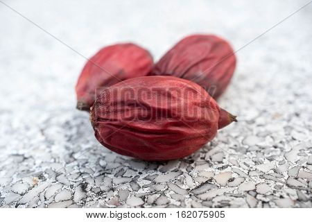 Fruit Of Lipstick Palm Or Sealing-wax Palm Or Raja Palm.