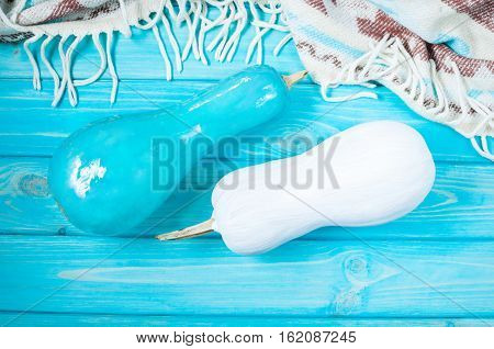 White and blue Pumpkins with plaid on rustic blue background.