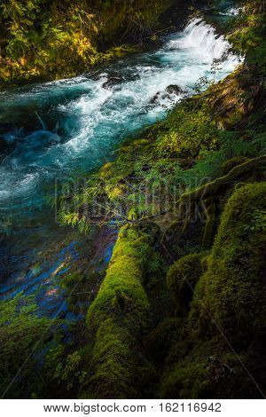 Mckensie River Down From Sahalie Falls Oregon