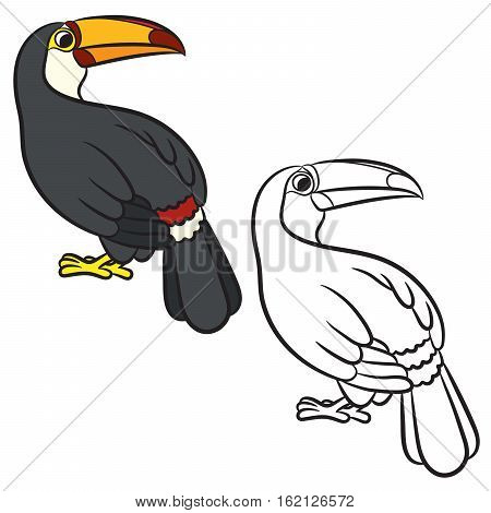 Toucan bird illustration. Coloring page. Vector illustration