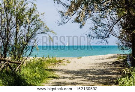 View of the beach in the Natural Reserve Sentina, San Benedetto del Tronto, Marche, Italy