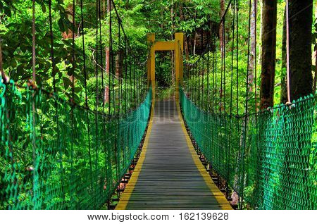 Hanging bridge in rain forest of Borneo