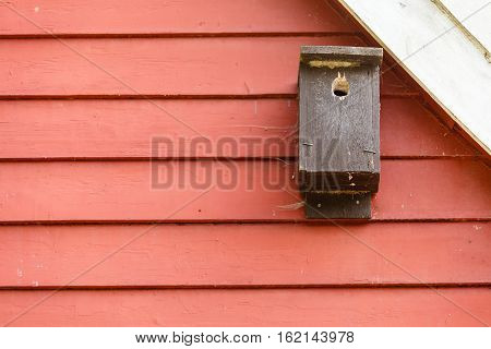 Textures patterns and backgrounds concept. Light old wooden wall detail board with birdhouse closeup
