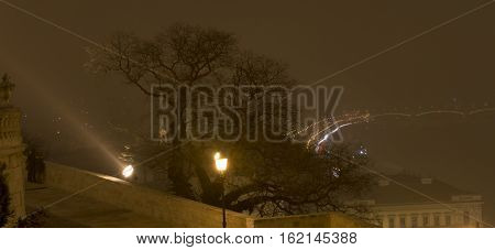 Tree in the Castle of Budapest in the night