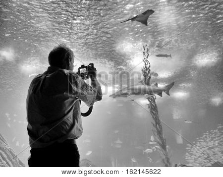 LISBON, PORTUGAL - November 12 2016: Interior view of the Lisbon Oceanario, Portugal, Europe