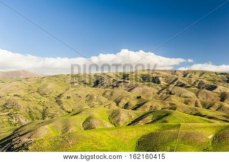 Beautiful green rolling hills of Southern New Zealand at dusk, Lindis Pass, Otago Region
