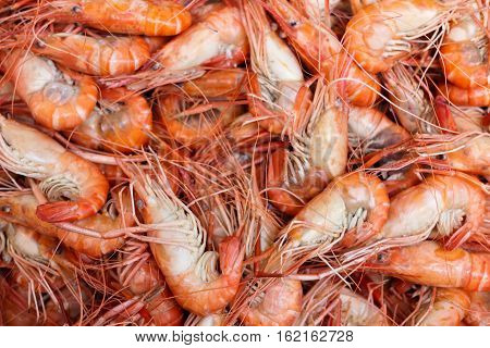 boiled giant freshwater prawn, food concept and background