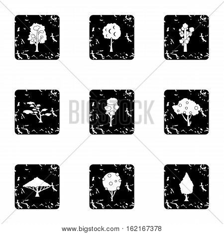 Arboreal plant icons set. Grunge illustration of 9 arboreal plant vector icons for web