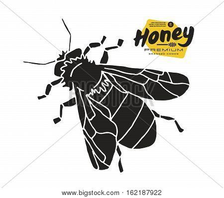 Stock vector illustration of honey bee. Print on white background