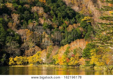 Lake in autumn