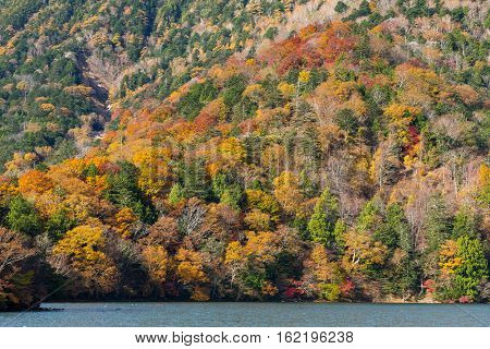 Autumn Landscape