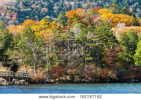 Autumn nature in yuno lake of Nikko Japan