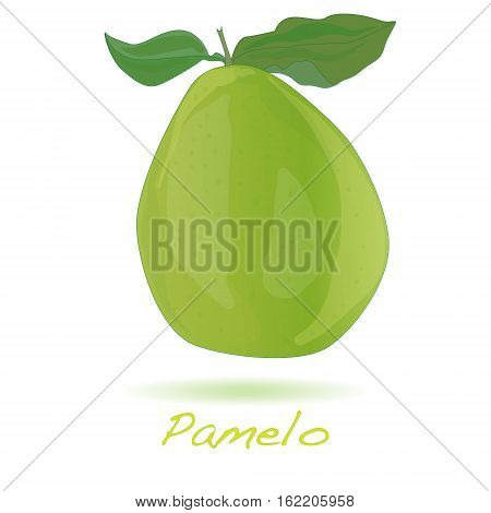 Pomelo or Chinese grapefruit image isolated on white background.