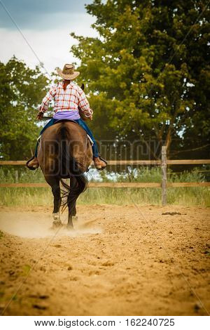 Taking care of animals horsemanship western competitions concept. Cowgirl doing horse riding on countryside meadow sunny day outside