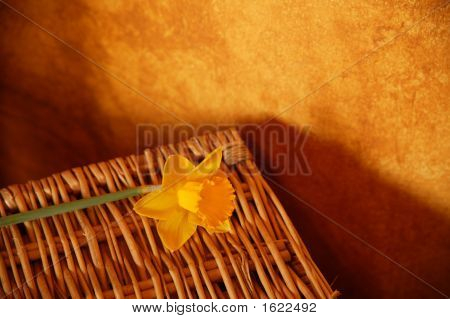 Warmness