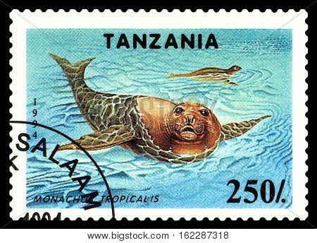 STAVROPOL RUSSIA - December 11 2016: a stamp printed by Tanzania shows Monachus Tropicalis (Caribbean monk seal) circa 1994