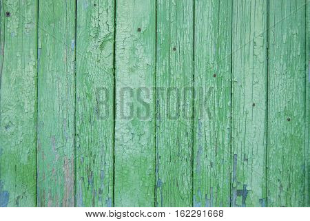 green old wooden fence. wood palisade background. planks texture. greenery
