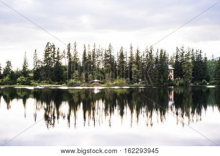 Lake and coniferous trees, National park Vysoke Tatry, Slovakia. Summer nature.