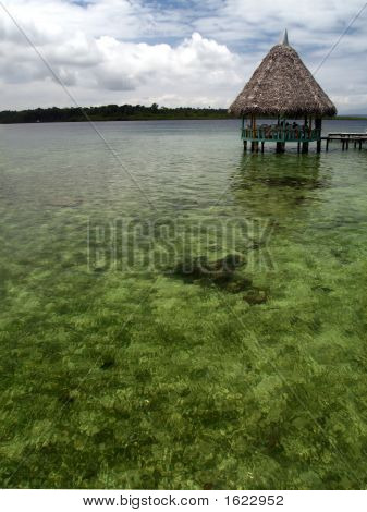 Bocas103