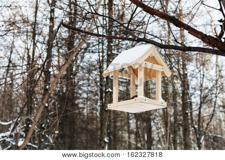 Bird Feeder On Tree Branch In Forest In Winter