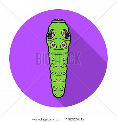 Caterpillar icon in flat design isolated on white background. Insects symbol stock vector illustration.