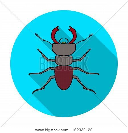 Forest red ant icon in flat design isolated on white background. Insects symbol stock vector illustration.