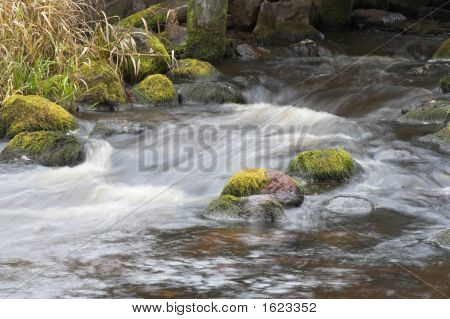 Água do Rio