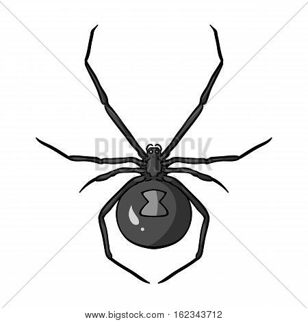 Black widow spider icon in monochrome design isolated on white background. Insects symbol stock vector illustration.