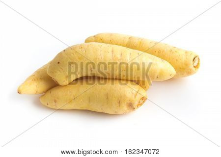 Barred Potato. Baroa isolated on white background