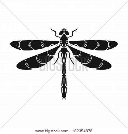 Dragonfly icon in black design isolated on white background. Insects symbol stock vector illustration.