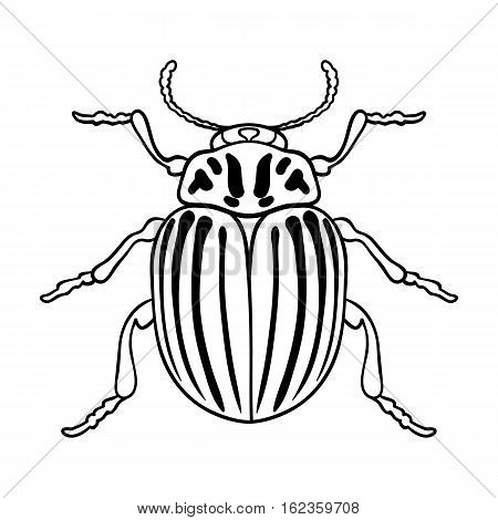 Colorado beetle icon in outline design isolated on white background. Insects symbol stock vector illustration.