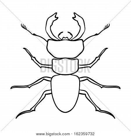 Forest red ant icon in outline design isolated on white background. Insects symbol stock vector illustration.
