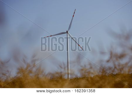 Windturbine At Sunny Day